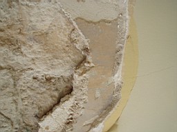 christchurch -1534.jpg